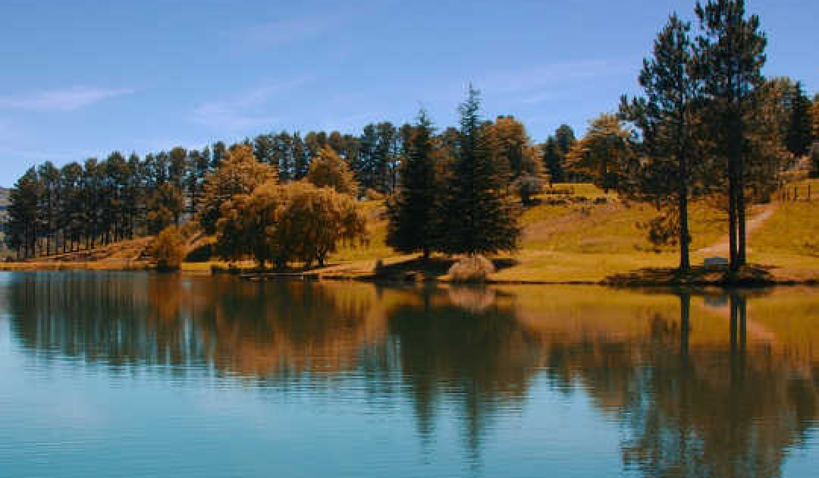 通过自然和培育来培养智慧