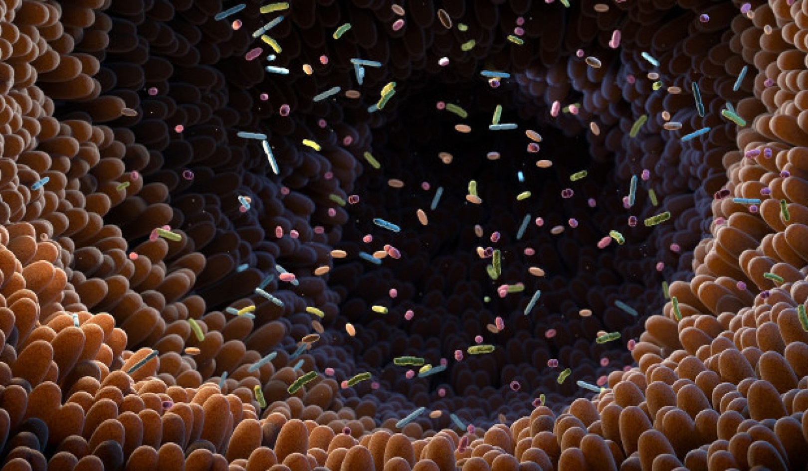 ปลดล็อกศักยภาพของไมโครไบโอมในลำไส้: ผลกระทบต่อสุขภาพและการรักษา
