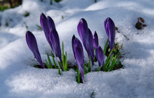 The Best of Times, The Worst of Times: Finding Renewal in a World That Feels Broken