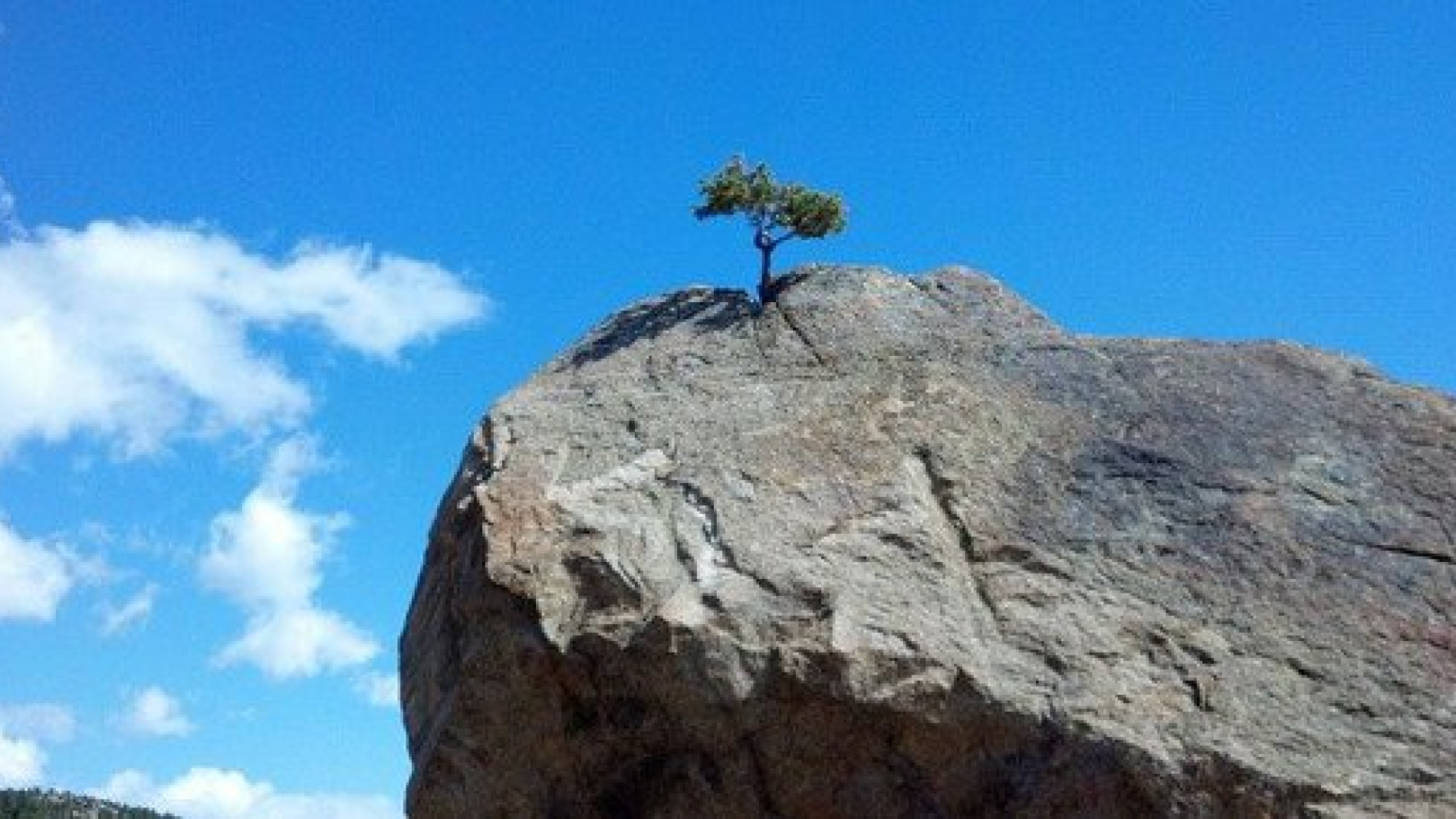 精神在取得成功中的作用