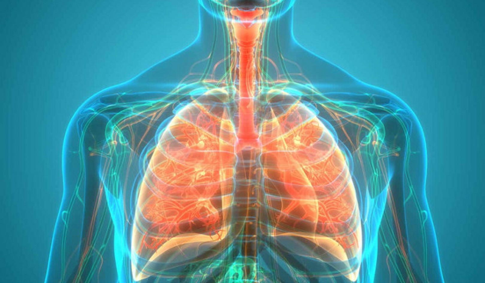 Riesgos para la salud pulmonar: más allá del humo y el polvo
