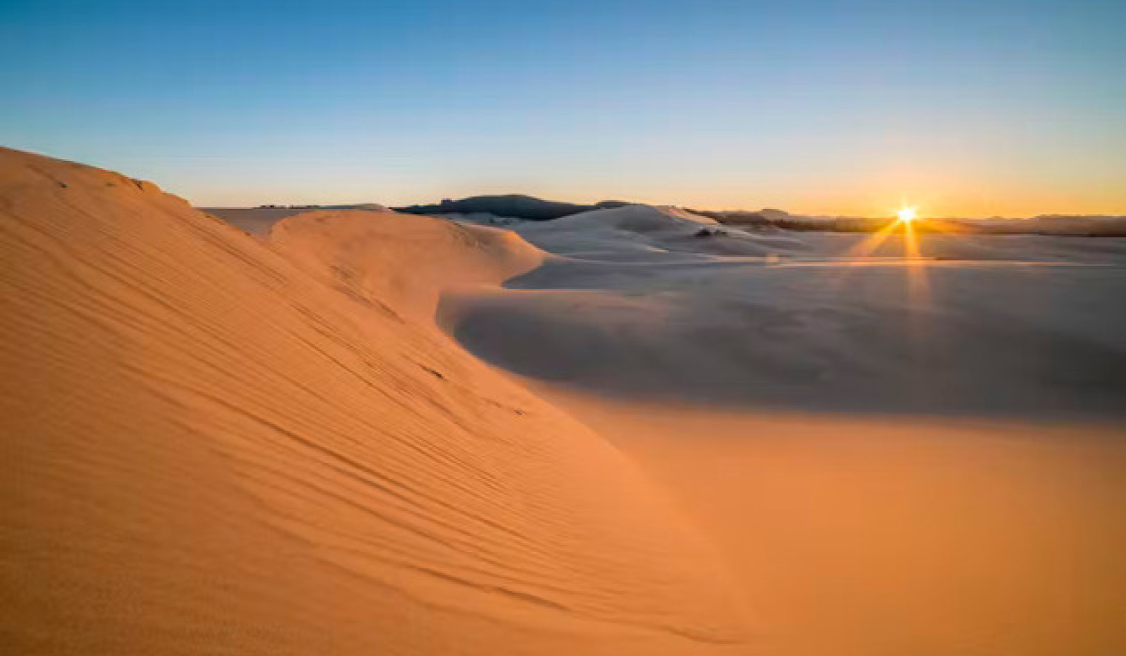 Bagaimana Dune Membentuk Masa Depan Pergerakan Alam Sekitar dan Ekologi
