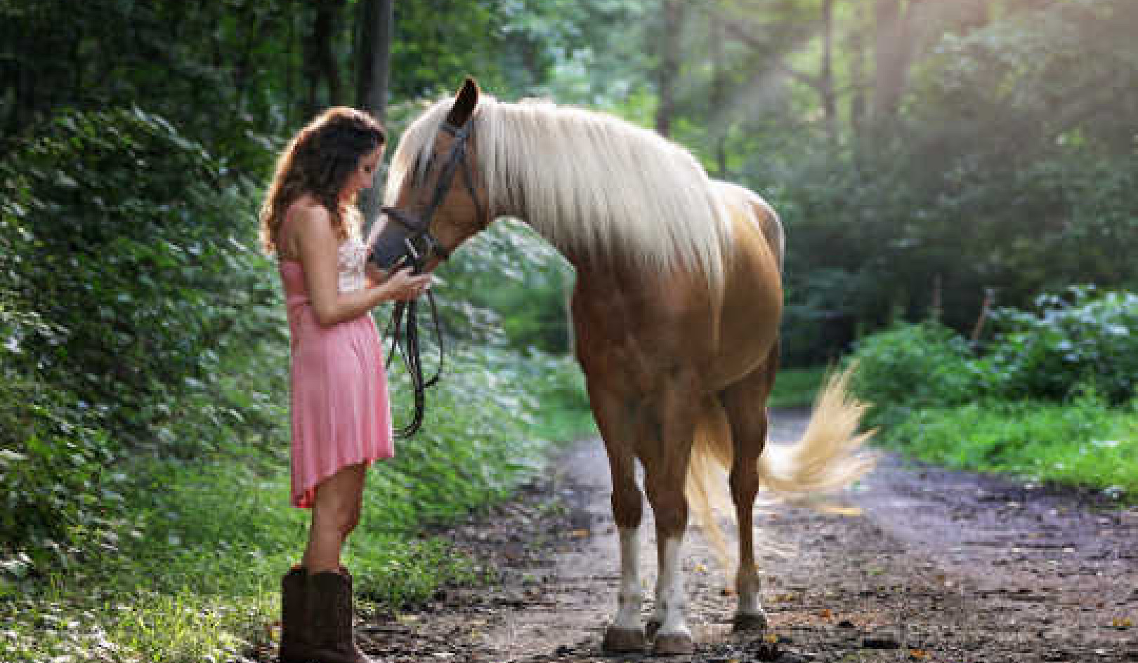 Kuda Dan Babi Juga Dapat Mengetahui Apakah Anda Positif Atau Negatif
