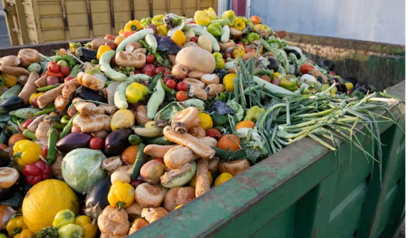 음식물 쓰레기를 줄이기 위한 4가지 효과적인 전략