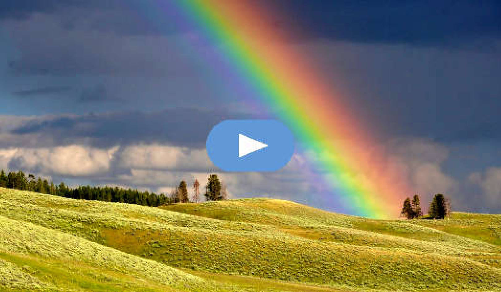 Give Yourself Time, Be Kind, and Heal in Your Own Way (Video)