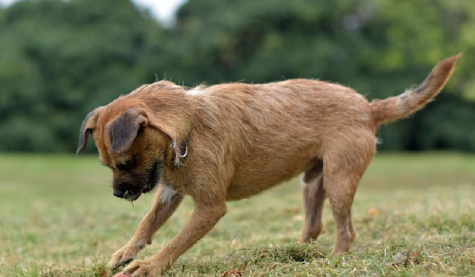 你渴望成功吗？如果是，那就停止对结果的执着。