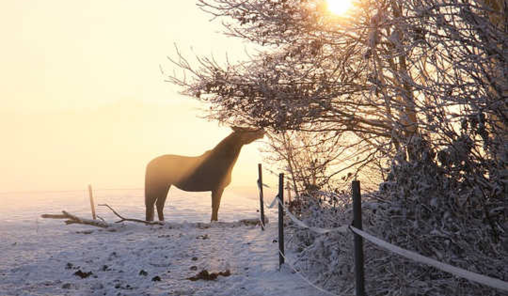 Finding Freedom Through Bruised Experiences