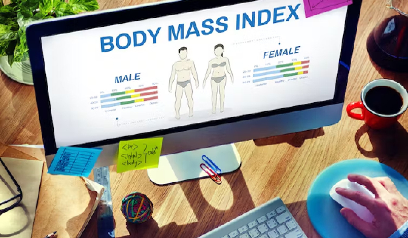 Tại sao các học viên ít dựa vào chỉ số khối cơ thể để đánh giá sức khỏe