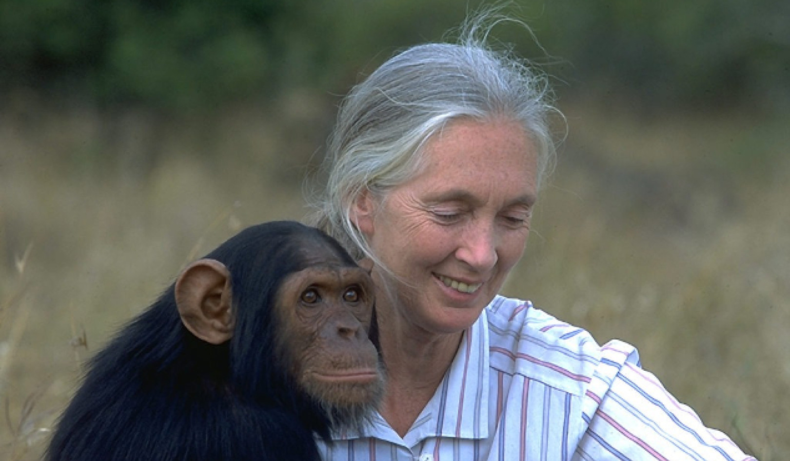 What Jane Goodall Taught Us About Being Human