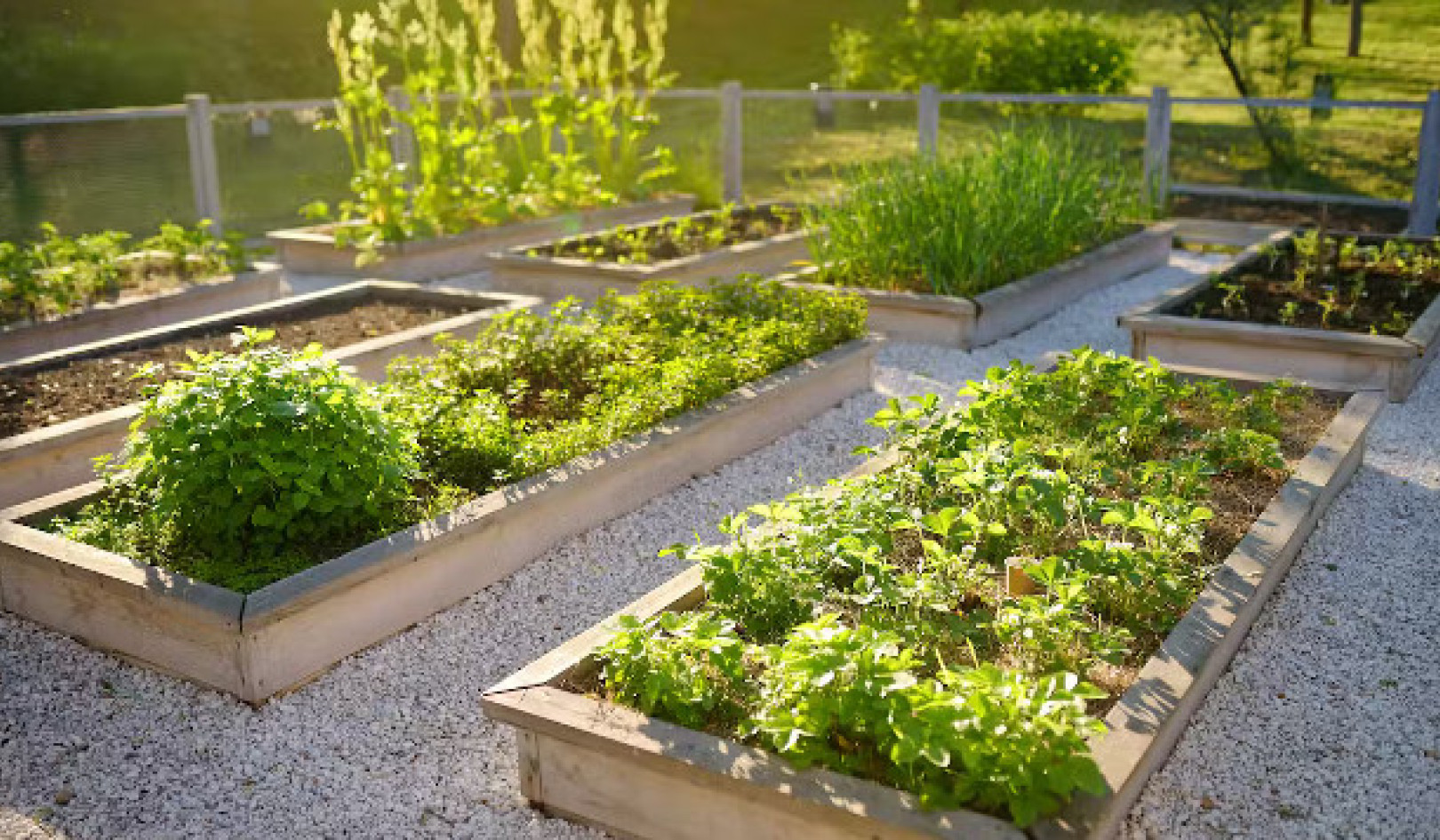 Den nøysomme matelskeren: Skjær dagligvareregningene dine gjennom hagearbeid og fôring