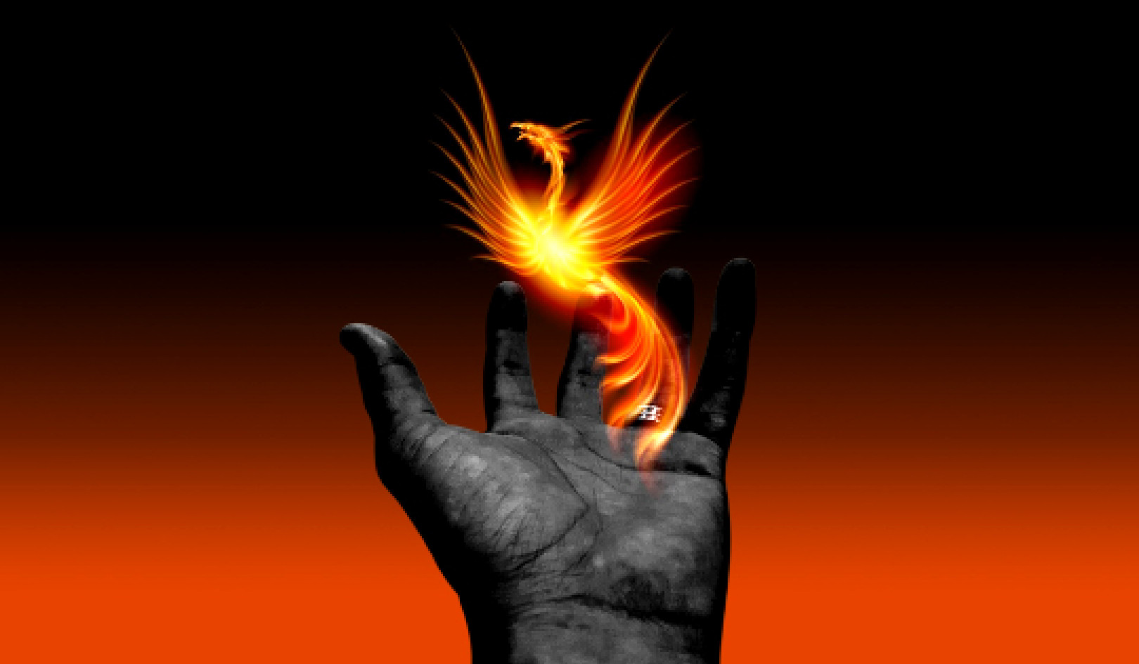 Spiritual Revolution in the Land of the Phoenix