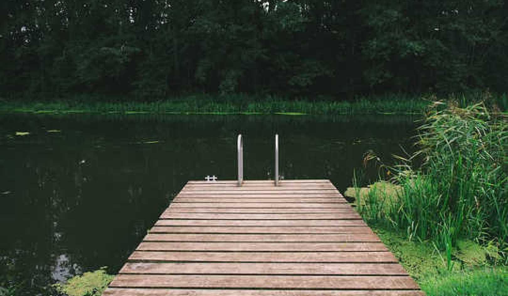 Trauer in Akzeptanz und Freude verwandeln