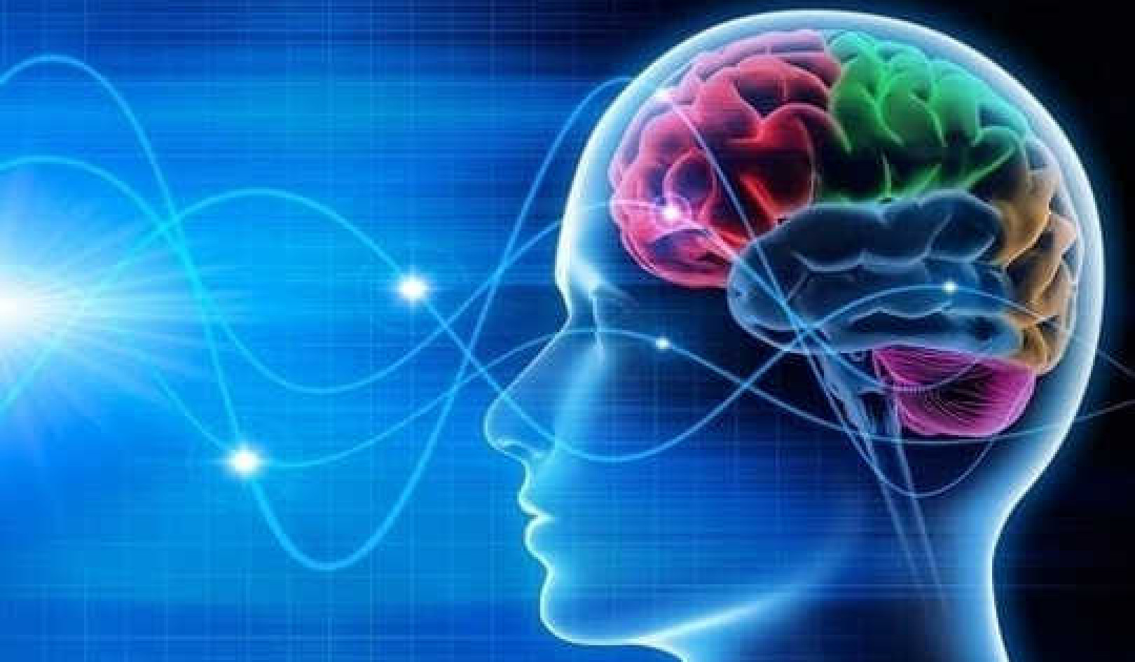 あなたの脳がどのように記憶を整理するか
