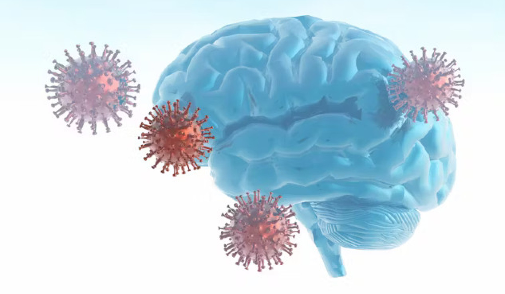 新型コロナウイルス感染症（COVID-19）が脳機能に及ぼす長期的な影響について説明