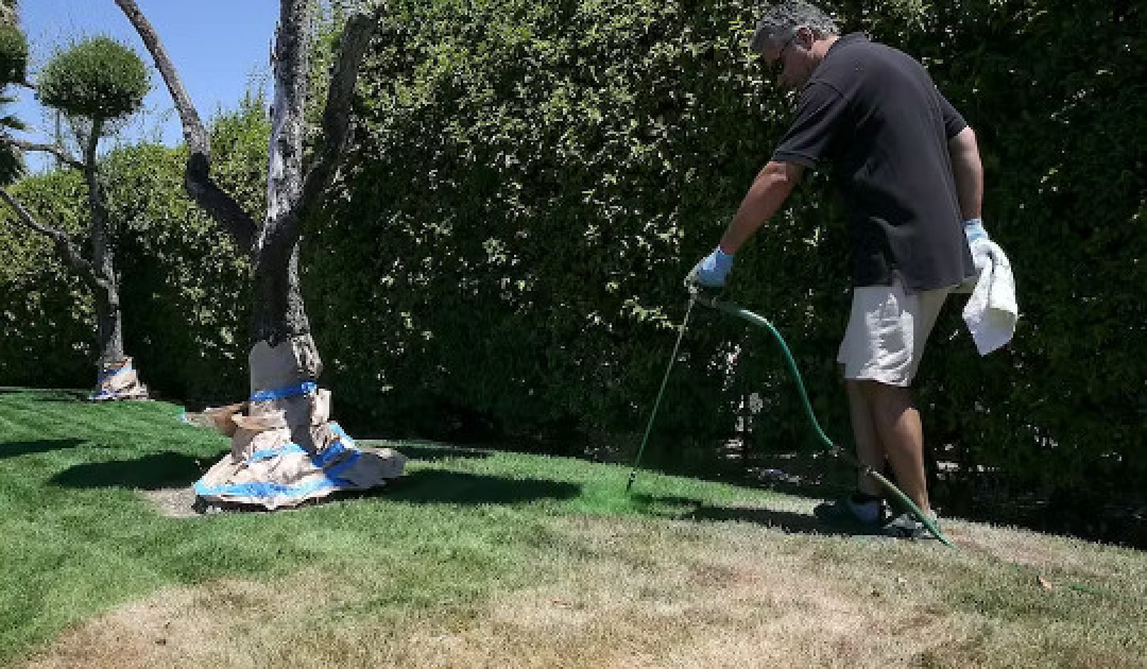 Painting Lawns to Get Them Green?