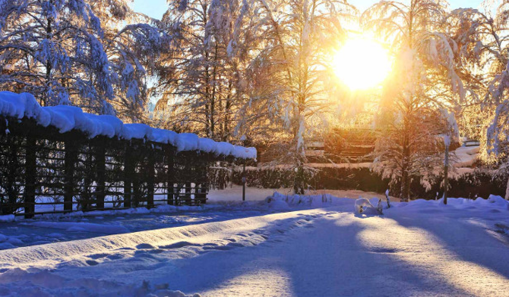Cómo la luz del invierno puede moldear su metabolismo