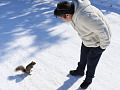 A young boy looking down at a squirrel. Image by simardfrancois from Pixabay. 