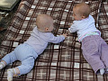 два младенца общаются на одеяле