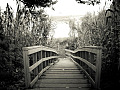 деревянный прогулочный мостик, направляющийся к невидимым достопримечательностям