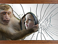 μαϊμού που κρατά έναν καθρέφτη που αντανακλά ένα παιδί
