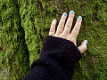 Hand ruht auf der Seite eines moosigen Baumstammes