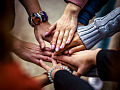 many hands meeting together in the center of a circle