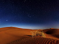 Night sky over the desert. Image by StockSnap from Pixabay.
