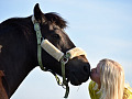 ung jente som kysser en hest på nesen