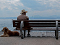 mand sidder på en bænk med sin hund liggende på jorden ved hsi side