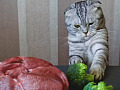 chế độ ăn thuần chay cho mèo 9 27