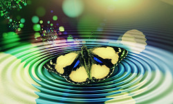 three butterflies in a circle creating outgoing waves