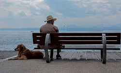 man sitting on a bench with his dog laying on the ground at hsi side