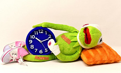 sairas sammakko makaamassa herätyskelloa pitelemässä