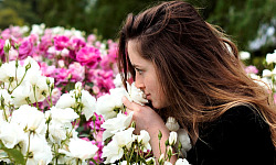 uma mulher cheirando um arbusto de rosas