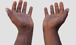 две руки раскрыты в позиции даяния и/или получения