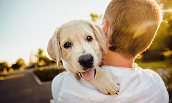 un jeune garçon tenant et serrant un chien dans ses bras