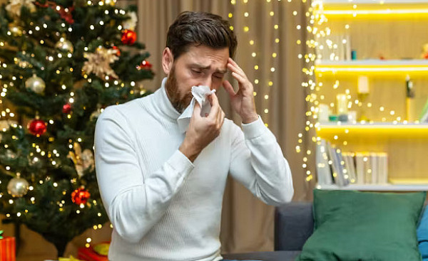 аллергия на рождественскую елку 12 5