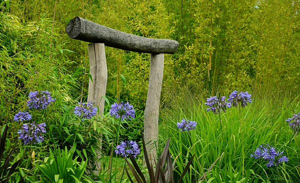 jardin de lys ornementaux avec un portail japonais