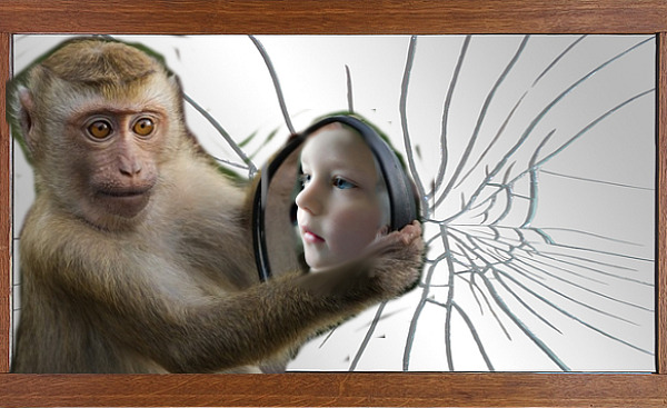 macaco segurando um espelho refletindo uma criança