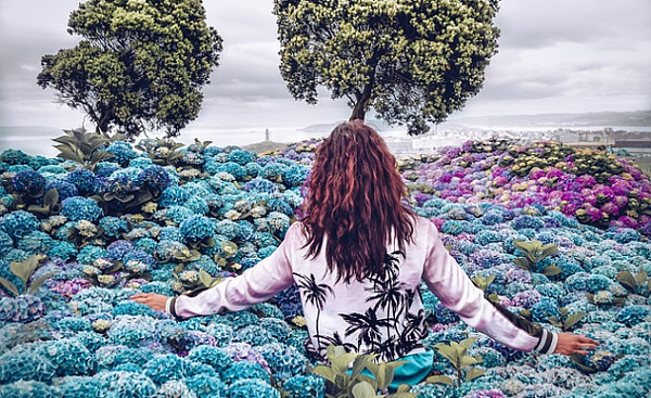 Eine Frau steht auf einem Blumenfeld