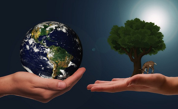 două mâini care se întind una spre alta - o mână ținând planeta pământ, cealaltă ținând un copac