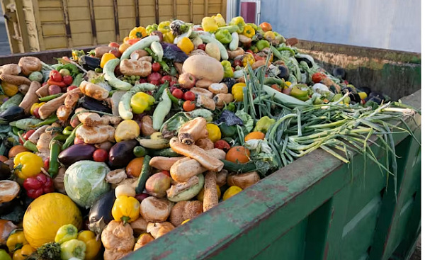 kaupallinen roskakori, joka on ääriään myöten täytetty ulos heitetyillä hedelmillä ja vihanneksilla