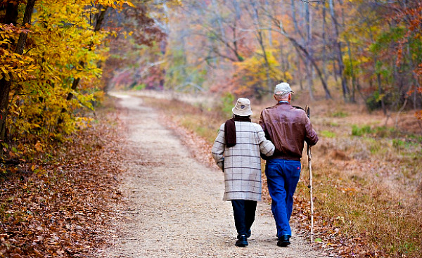 an elderly couple walking in nature, arm in arm