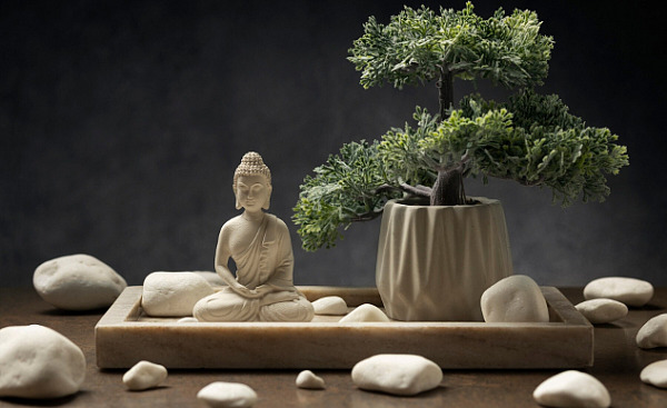 buddha statuette with bonsai tree