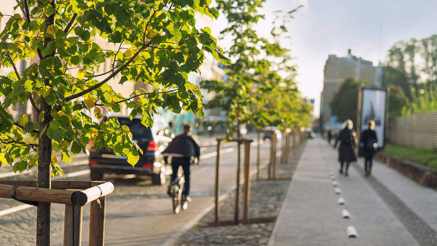 Planting trees in urban areas offers numerous health benefits, including improved air quality and reduced heat.