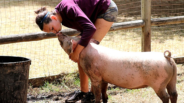 женщина обнимает и гладит свинью