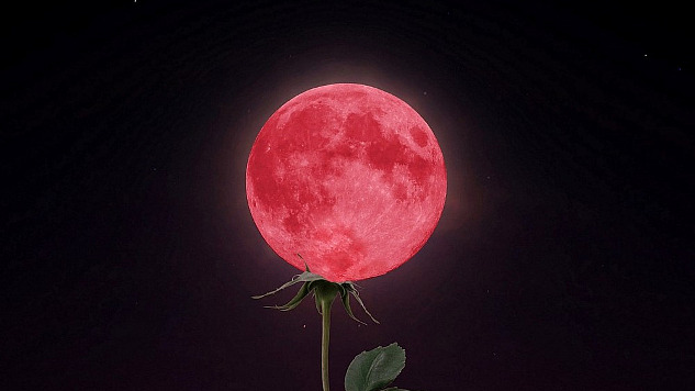 una interpretación artística de una luna llena "descansando" sobre un tallo de flor