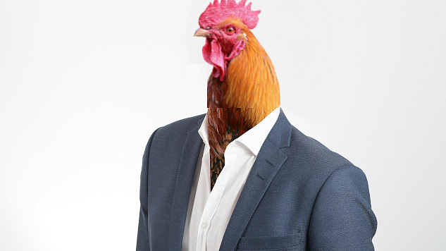 a man in a suit but with a rooster instead of a head and face