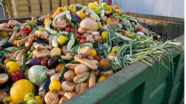 eine handelsübliche Mülltonne, die bis zum Rand mit weggeworfenem Obst und Gemüse gefüllt ist