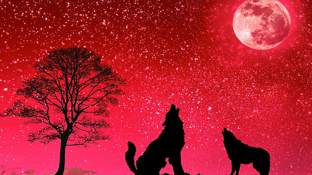 wolves howling at a full moon in a red sky background